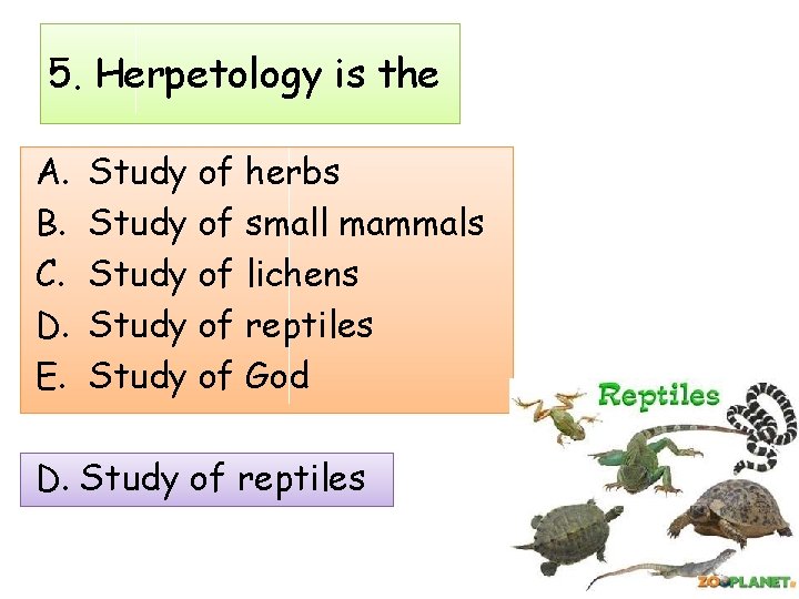 5. Herpetology is the A. B. C. D. E. Study of herbs Study of