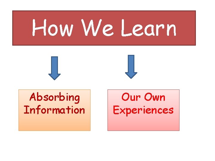 How We Learn Absorbing Information Our Own Experiences 
