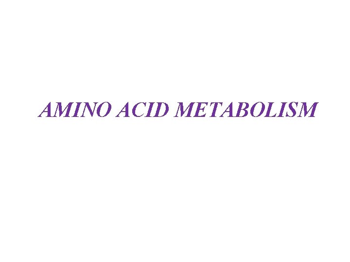 AMINO ACID METABOLISM 