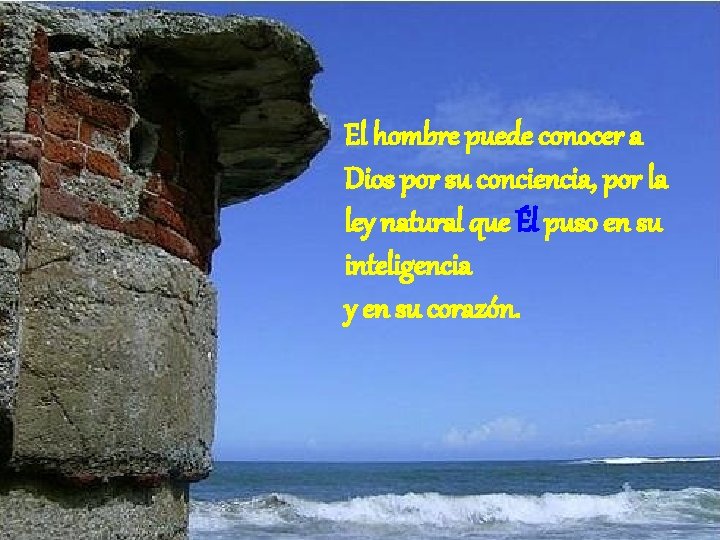El hombre puede conocer a Dios por su conciencia, por la ley natural que