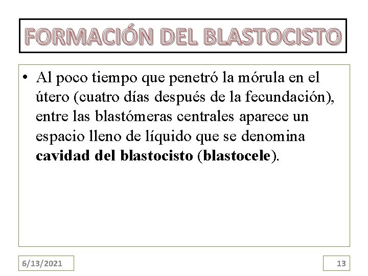 4 ETAPAS TEMPRANAS DEL DESARROLLO 6132021 1 OBJETIVOS