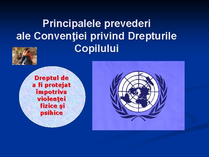 Principalele prevederi ale Convenţiei privind Drepturile Copilului Dreptul de a fi protejat împotriva violenţei