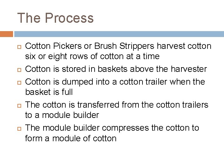 The Process Cotton Pickers or Brush Strippers harvest cotton six or eight rows of