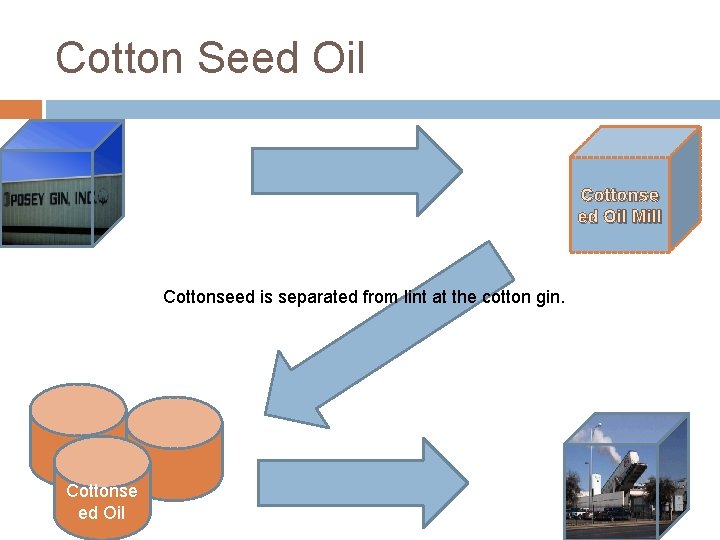 Cotton Seed Oil Cottonse ed Oil Mill Cottonseed is separated from lint at the