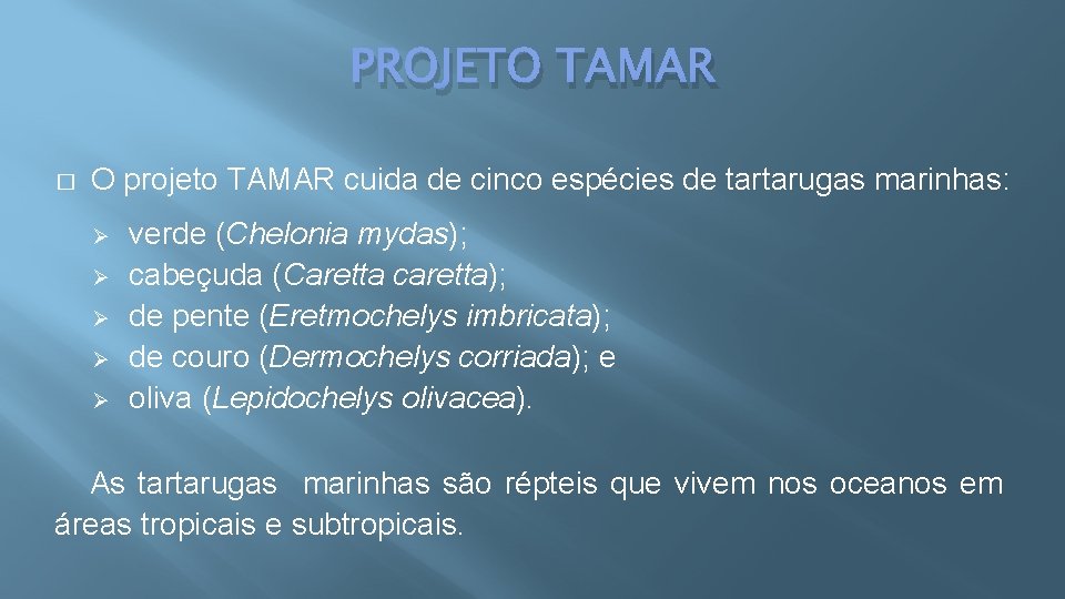 PROJETO TAMAR � O projeto TAMAR cuida de cinco espécies de tartarugas marinhas: Ø