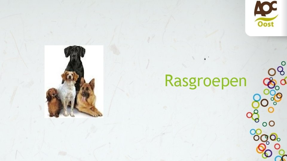 Rasgroepen 