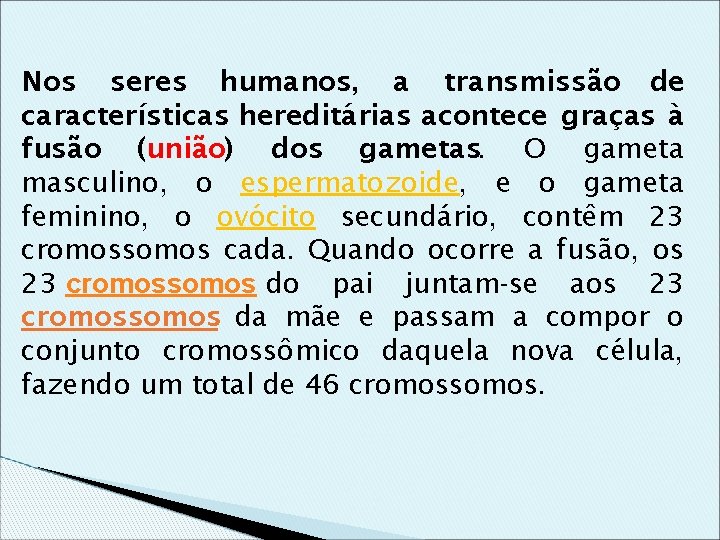 Nos seres humanos, a transmissão de características hereditárias acontece graças à fusão (união) dos