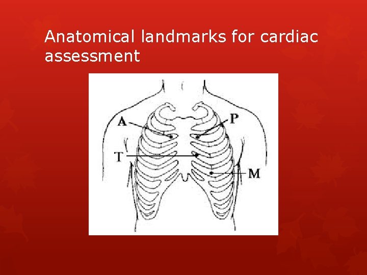 Anatomical landmarks for cardiac assessment 