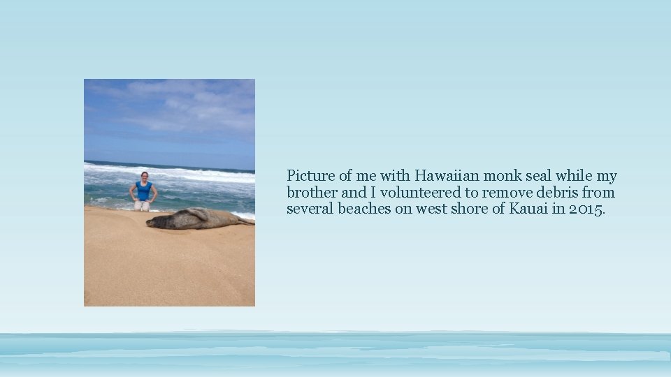 Picture of me with Hawaiian monk seal while my brother and I volunteered to