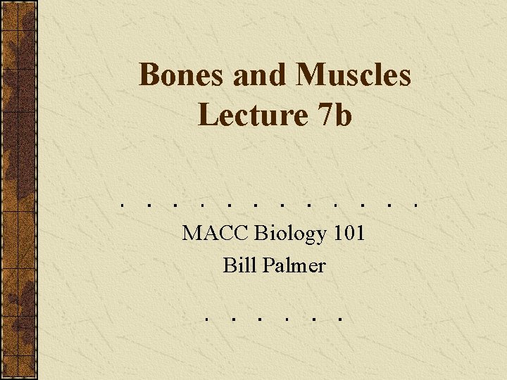 Bones and Muscles Lecture 7 b MACC Biology 101 Bill Palmer 