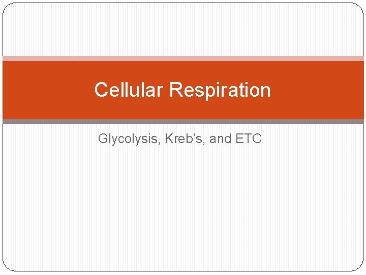 Cellular Respiration Glycolysis, Kreb’s, and ETC 