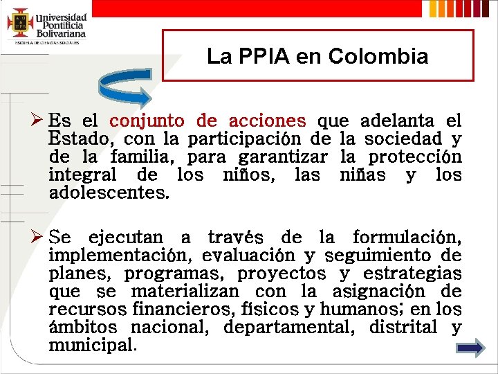 La PPIA en Colombia Ø Es el conjunto de acciones que adelanta el Estado,