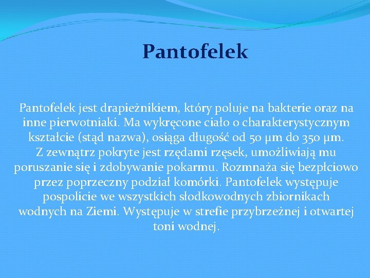 Pantofelek jest drapieżnikiem, który poluje na bakterie oraz na inne pierwotniaki. Ma wykręcone ciało