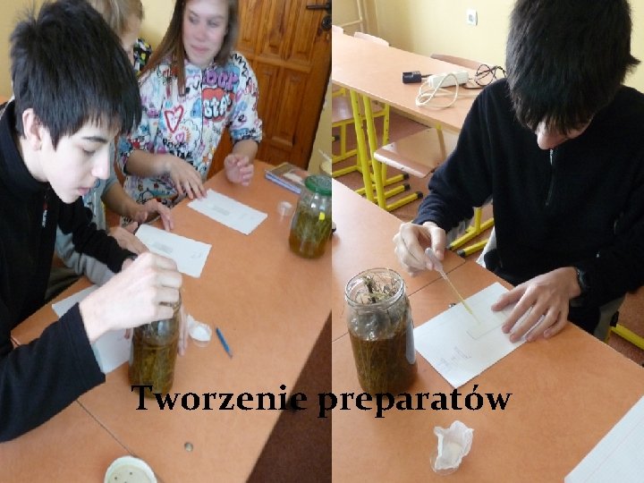 Tworzenie preparatów 