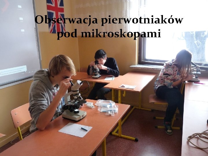 Obserwacja pierwotniaków pod mikroskopami Można opisać jak wykonuje się preparat , na jakich mikroskopach