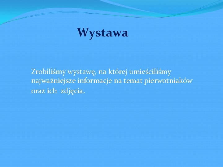 Wystawa Zrobiliśmy wystawę, na której umieściliśmy najważniejsze informacje na temat pierwotniaków oraz ich zdjęcia.