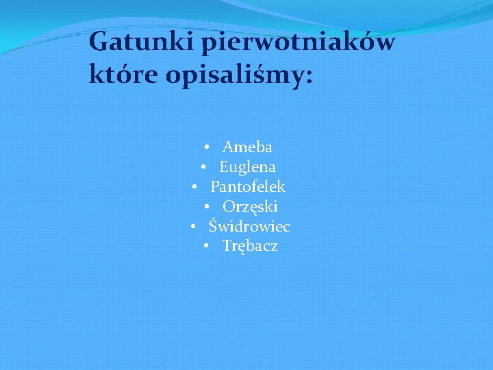 Gatunki pierwotniaków które opisaliśmy: • Ameba • Euglena • Pantofelek • Orzęski • Świdrowiec