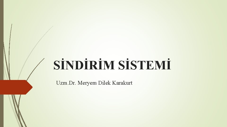 SİNDİRİM SİSTEMİ Uzm. Dr. Meryem Dilek Karakurt 