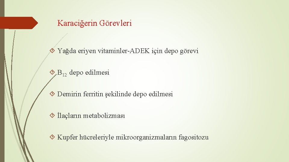 Karaciğerin Görevleri Yağda eriyen vitaminler-ADEK için depo görevi B 12 depo edilmesi Demirin ferritin