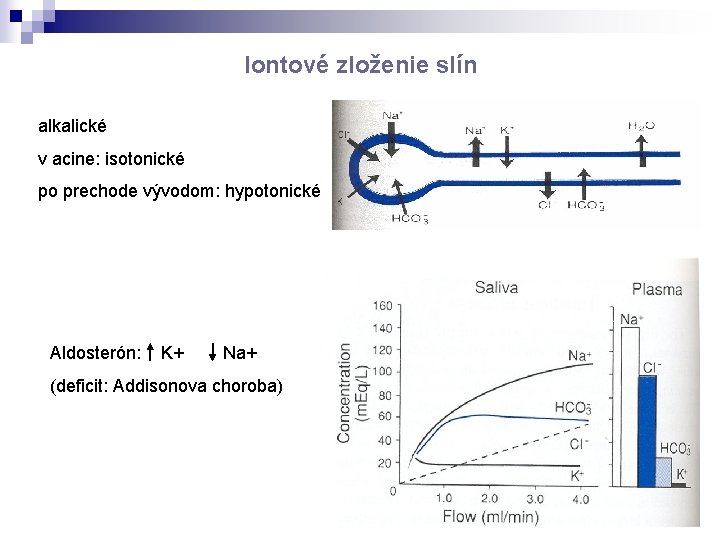 Iontové zloženie slín alkalické v acine: isotonické po prechode vývodom: hypotonické Aldosterón: K+ Na+