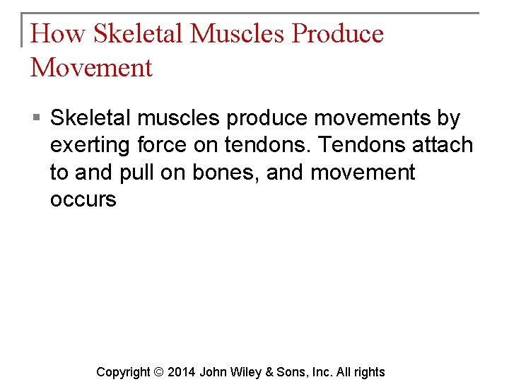 How Skeletal Muscles Produce Movement § Skeletal muscles produce movements by exerting force on