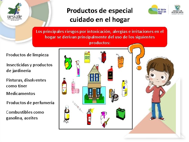 Productos de especial cuidado en el hogar Los principales riesgos por intoxicación, alergias e Productos de especial cuidado en el hogar Los principales riesgos por intoxicación, alergias e