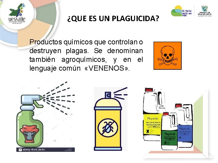 ¿QUE ES UN PLAGUICIDA? Productos químicos que controlan o destruyen plagas. Se denominan también ¿QUE ES UN PLAGUICIDA? Productos químicos que controlan o destruyen plagas. Se denominan también