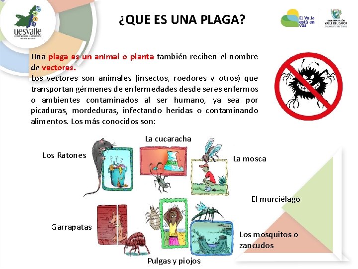 ¿QUE ES UNA PLAGA? Una plaga es un animal o planta también reciben el ¿QUE ES UNA PLAGA? Una plaga es un animal o planta también reciben el