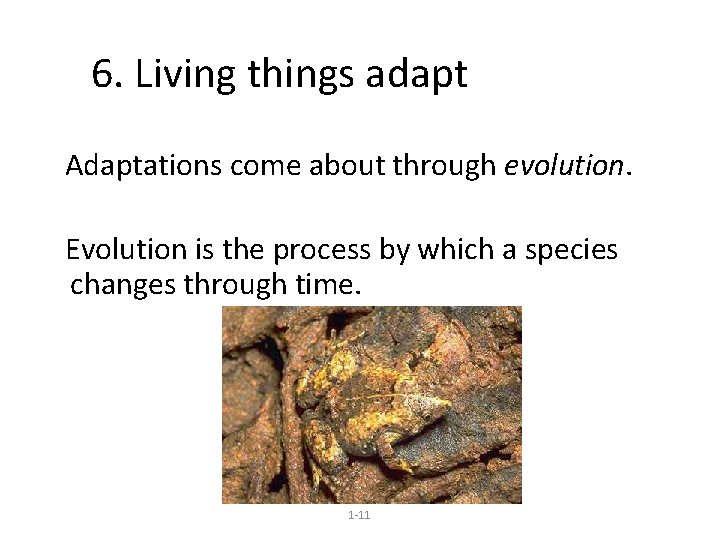 6. Living things adapt Adaptations come about through evolution. Evolution is the process by