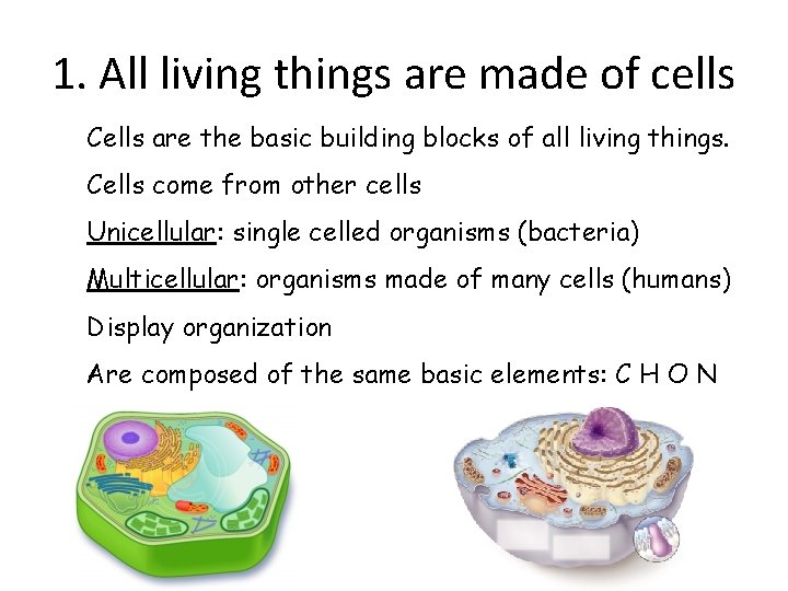1. All living things are made of cells Cells are the basic building blocks