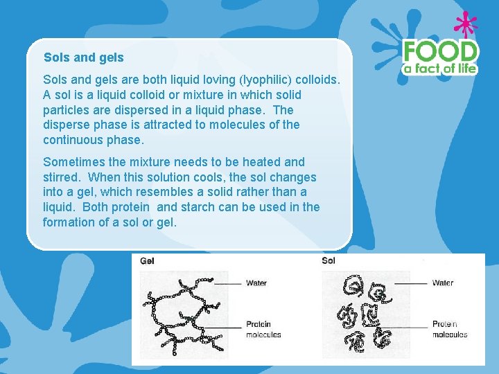 Sols and gels are both liquid loving (lyophilic) colloids. A sol is a liquid