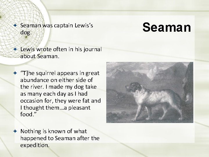  Seaman was captain Lewis’s dog. Lewis wrote often in his journal about Seaman.