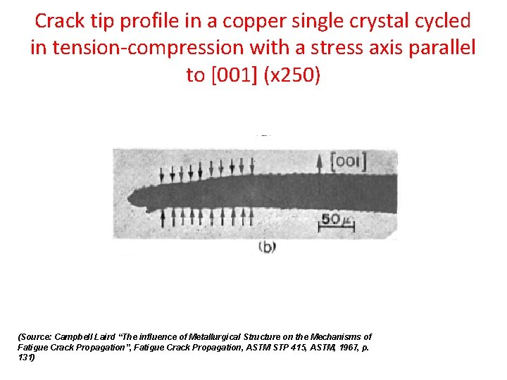 Crack tip profile in a copper single crystal cycled in tension-compression with a stress