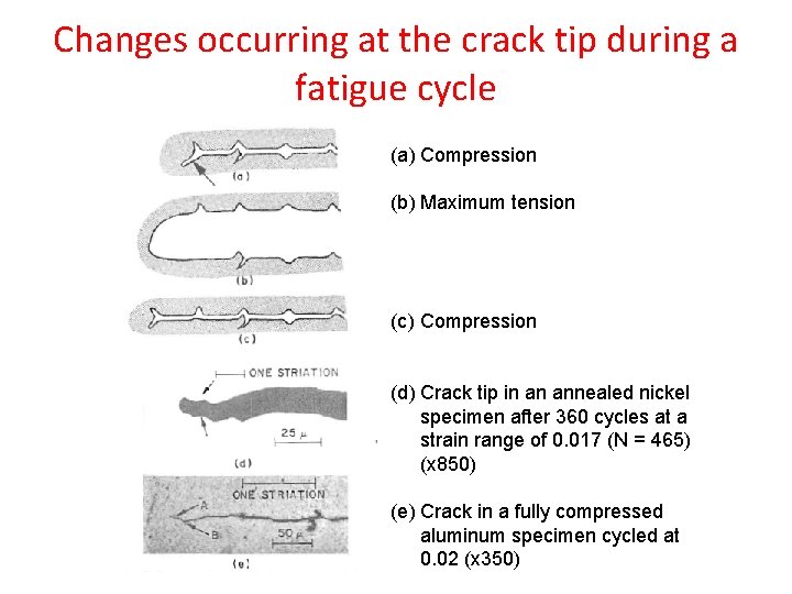 Changes occurring at the crack tip during a fatigue cycle (a) Compression (b) Maximum