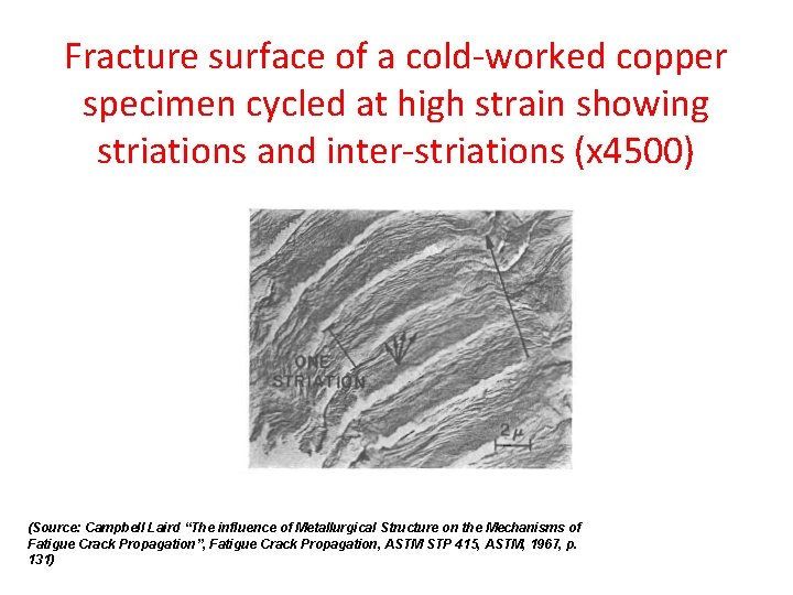 Fracture surface of a cold-worked copper specimen cycled at high strain showing striations and