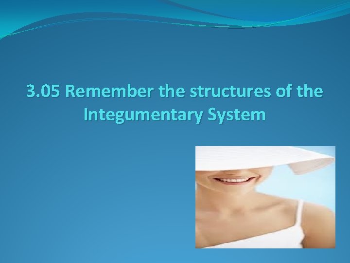 3. 05 Remember the structures of the Integumentary System 