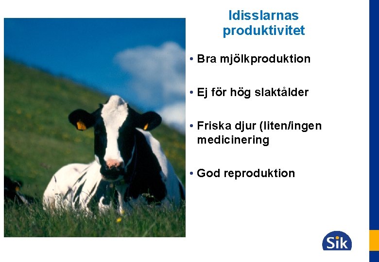 Idisslarnas produktivitet • Bra mjölkproduktion • Ej för hög slaktålder • Friska djur (liten/ingen