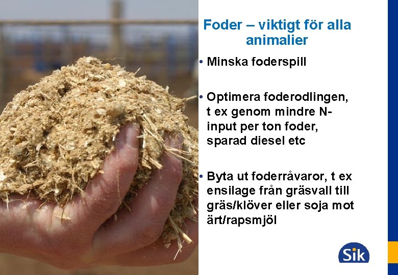 Foder – viktigt för alla animalier • Minska foderspill • Optimera foderodlingen, t ex