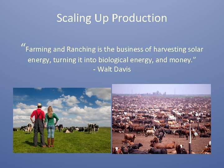 Scaling Up Production “Farming and Ranching is the business of harvesting solar energy, turning