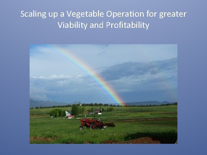 Scaling up a Vegetable Operation for greater Viability and Profitability 