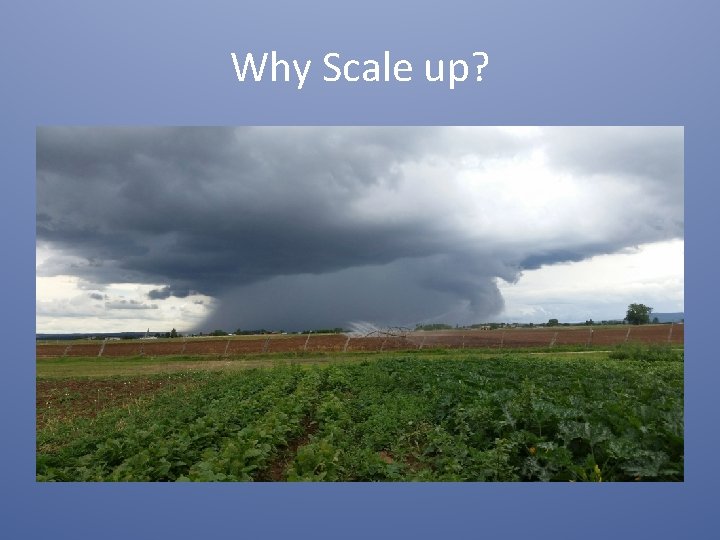 Why Scale up? 