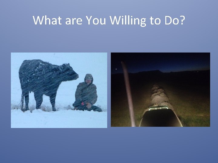 What are You Willing to Do? 
