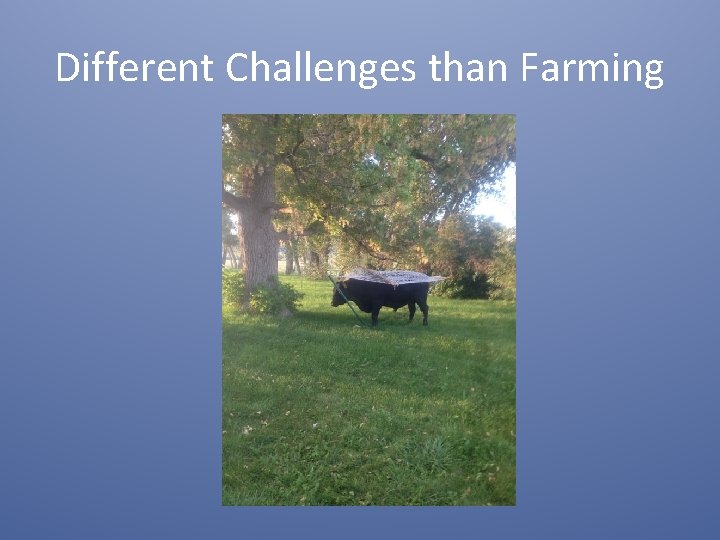 Different Challenges than Farming 