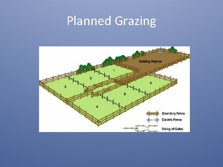 Planned Grazing 