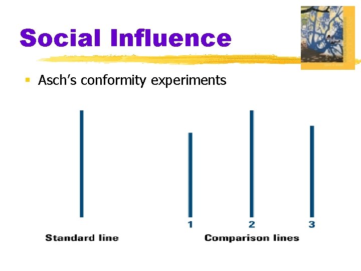 Social Influence § Asch’s conformity experiments 
