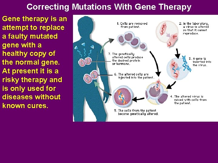 Correcting Mutations With Gene Therapy Gene therapy is an attempt to replace a faulty