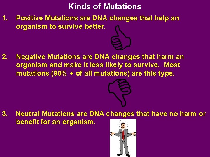 Kinds of Mutations 1. Positive Mutations are DNA changes that help an organism to