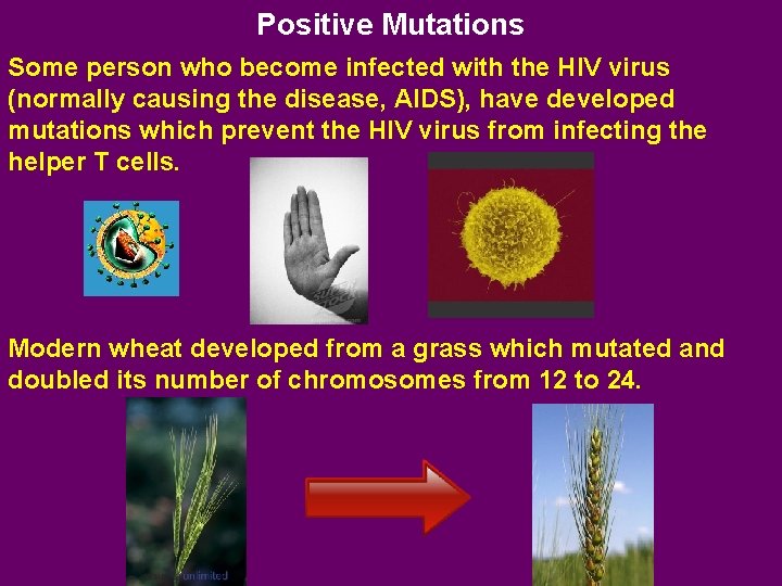 Positive Mutations Some person who become infected with the HIV virus (normally causing the