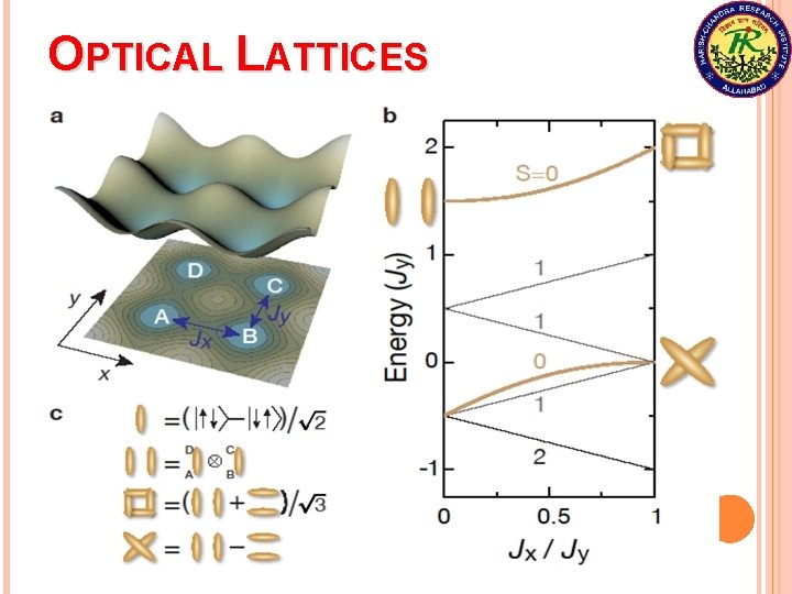 OPTICAL LATTICES 