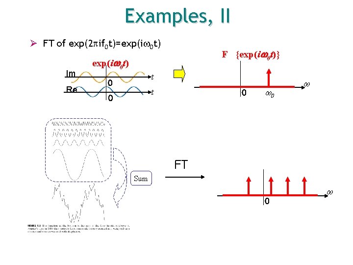 Examples, II Ø FT of exp(2 if 0 t)=exp(i 0 t) Im Re F